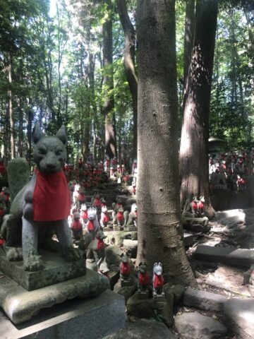 沢山の狐の像